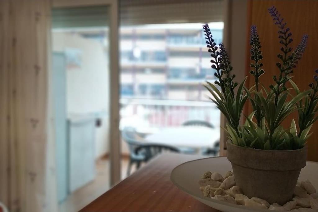 Acogedor Apartamento En La Playa De Canet Канет-де-Беренгер Экстерьер фото